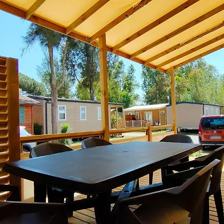 Camping Les Palmiers 4*