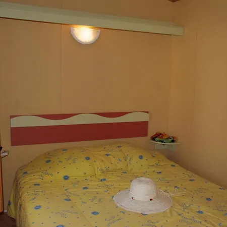 אתר קמפינג Les Palmiers 4*