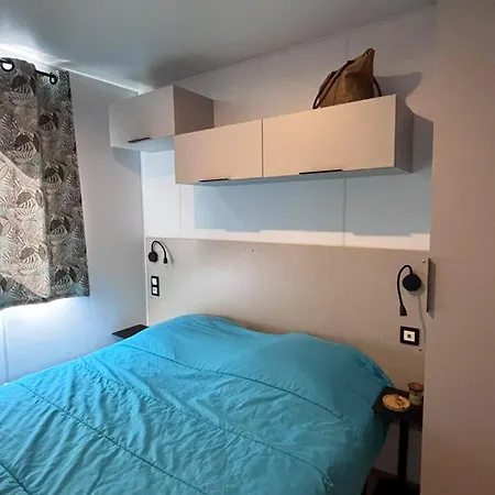 Kamp alanı Les Palmiers