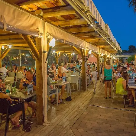 Les Palmiers הייר