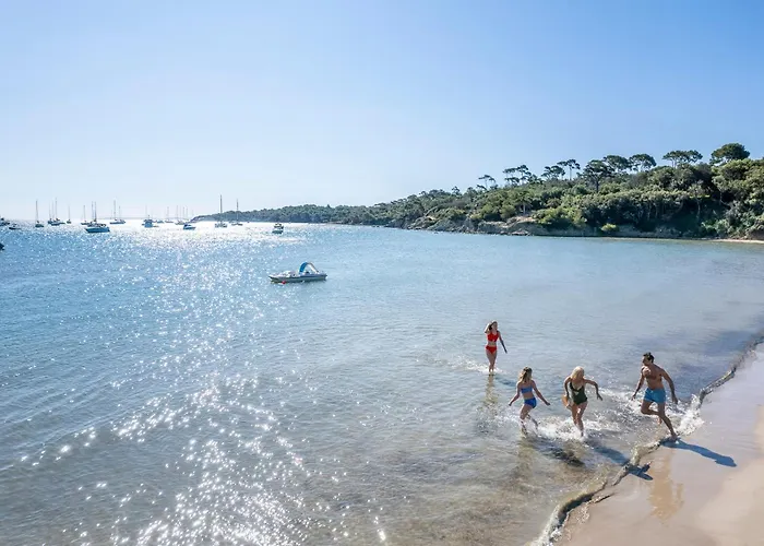 Kamp alanı Les Palmiers Hyères