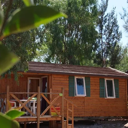 Les Palmiers 4* Hyeres