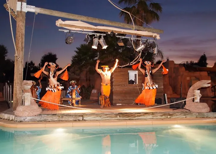 אתר קמפינג Les Palmiers הייר