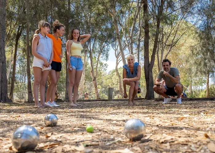 Les Palmiers הייר
