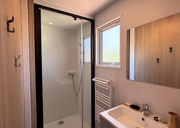 Les Palmiers הייר