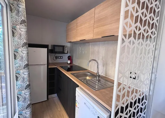 Les Palmiers הייר